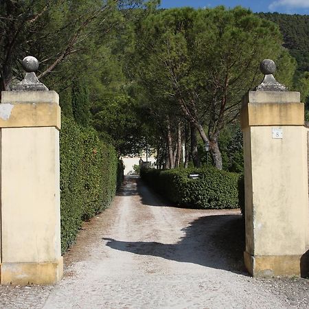 Villa Del Cardinale 斯波莱托 外观 照片